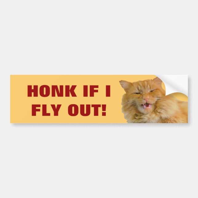 Honk If a Cat Flies Out Bumper Sticker (Front)