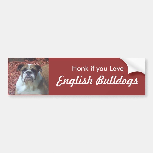 Honk if you Love English Bulldogs Bumper Sticker (Front)