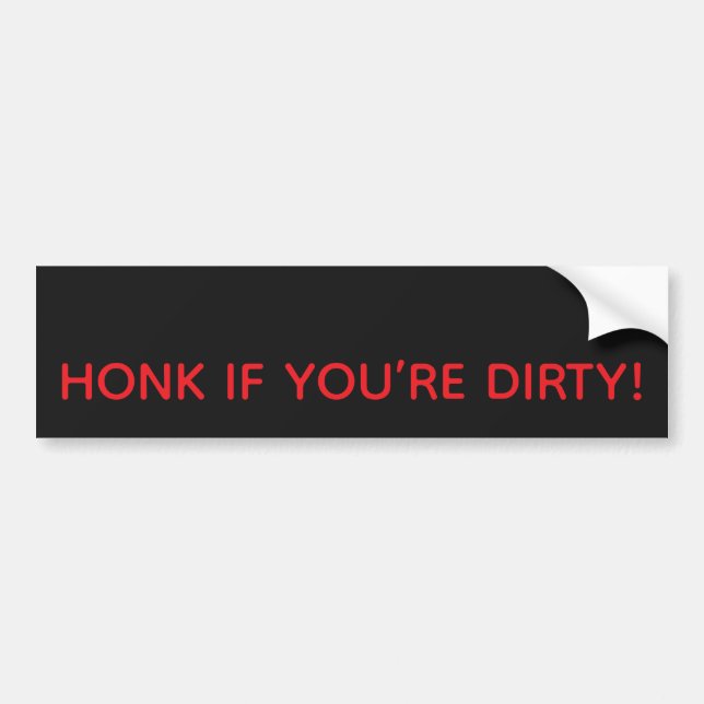 HONK IF YOU’RE DIRTY! BUMPER STICKER (Front)