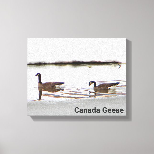Honkers - Canada Geese Canvas Print (Front)