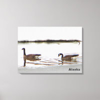 Honkers - Canada Geese