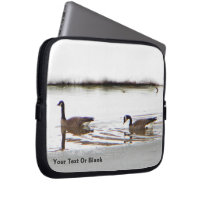 Honkers - Canada Geese