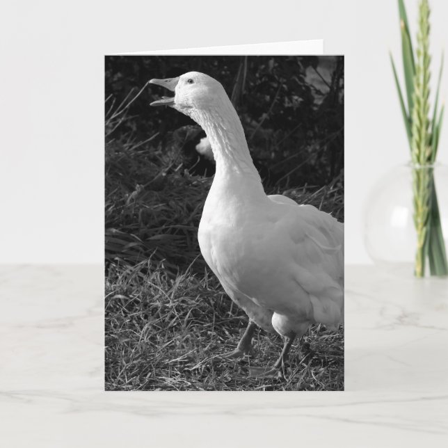 Honking Sebbie Card (Front)