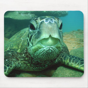 hono mouse pad