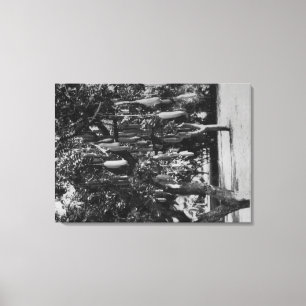 Honolulu, HI - University of Hawaii Canvas Print