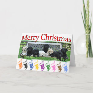 Honour Bench Christmas Holiday Card