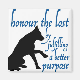 honour the lost magnet