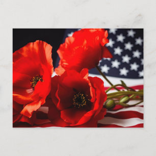 Honour those that gave all postcard