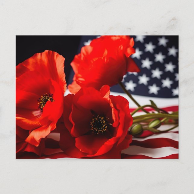 Honour those that gave all  postcard (Front)