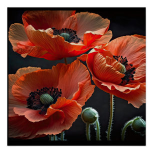 Honour those that gave all poster