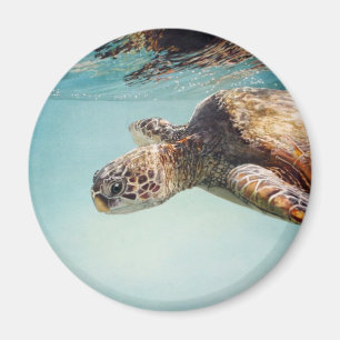 Honu by Marilyn Wear Magnet