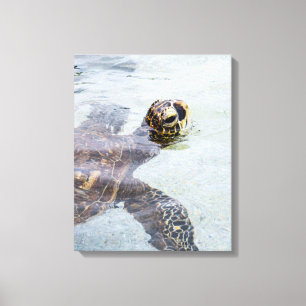 Honu Hawaiian Sea Turtle - Hawaii Turtles Canvas Print