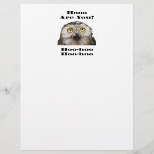 Hoo Are You? Owl Who Are You?