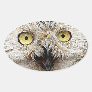 Hoo Are You? Owl Who Are You? Oval Sticker