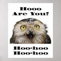 Hoo Are You? Owl Who Are You?
