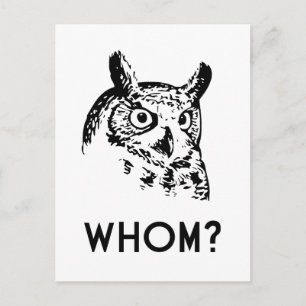 Hoo Who Whom Grammar Owl Postcard