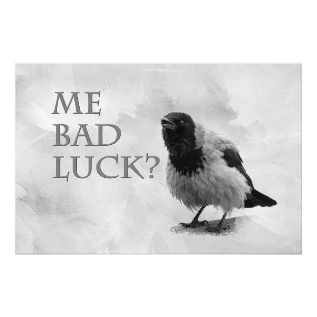 Hooded Crow - Me Bad Luck? Photo Print (Front)