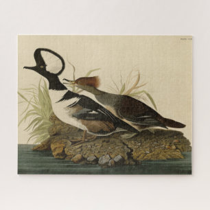 Hooded Merganser - from Audubon's Birds of America Jigsaw Puzzle