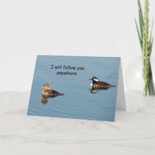 Hooded Mergansers Together - Frameable Art Card