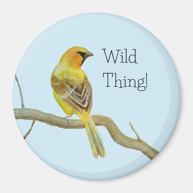 Hooded Oriole Magnet (Front)