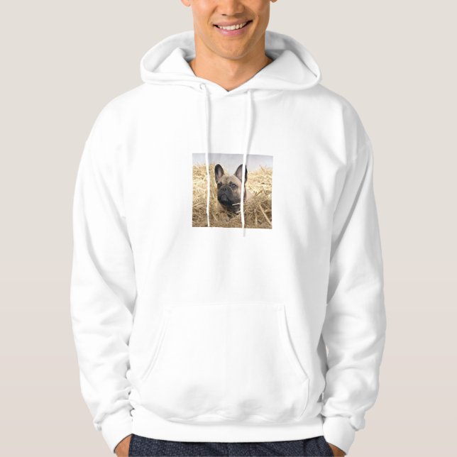 Hoodie french bulldogge (Front)