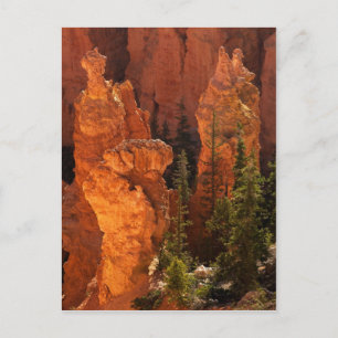 Hoodoos And Goblins Postcard