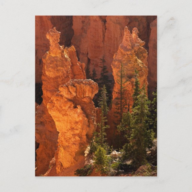 Hoodoos And Goblins Postcard (Front)