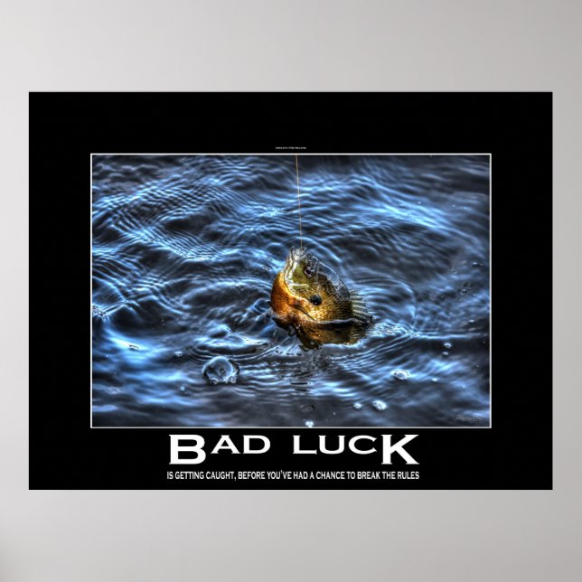 Hooked Bluegill Sun Fish Demotivational Poster (Front)