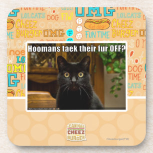 Hoomans Taek There fur OFF? Coaster