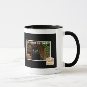 Hoomans Taek There fur OFF? Mug