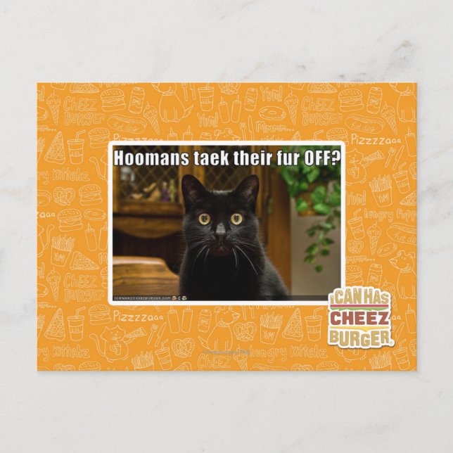 Hoomans Taek There fur OFF? Postcard (Front)