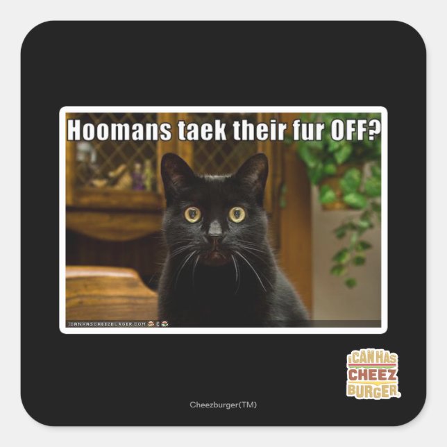 Hoomans Taek There fur OFF? Square Sticker (Front)