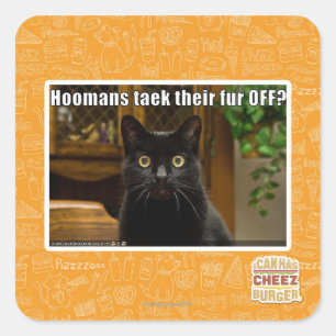 Hoomans Taek There fur OFF? Square Sticker