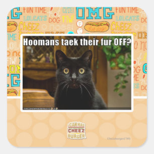 Hoomans Taek There fur OFF? Square Sticker