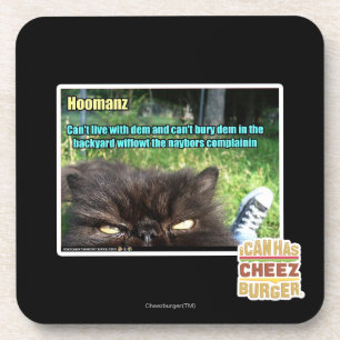 Hoomanz Coaster