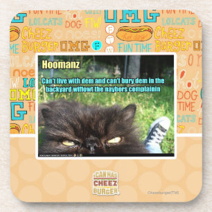 Hoomanz Coaster