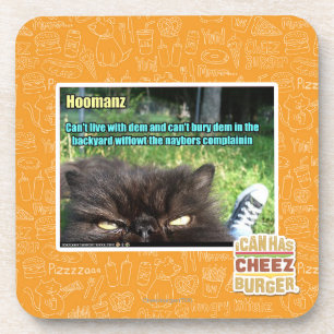Hoomanz Coaster