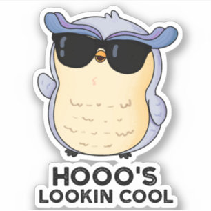 Hooo's Lookin Cool Funny Owl Pun 