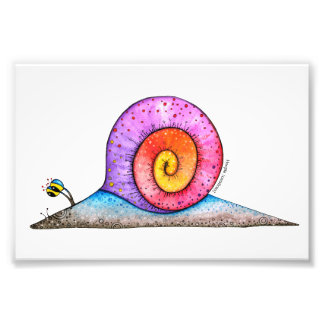 Hoopla Snail Photo Print
