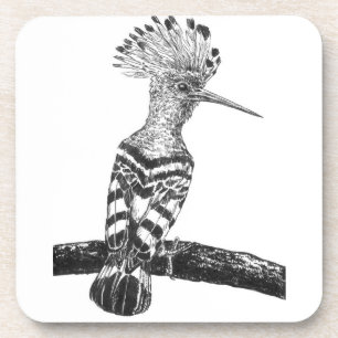 Hoopoe drawing coaster