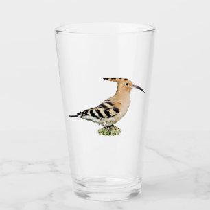 Hoopoe Glass Tumbler
