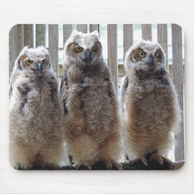 Hoot! Hoot! Hoot!  Mousepad (Front)