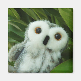 Hoot Hoot! Magnet