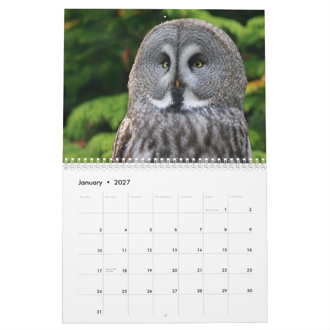 Hooters 2012 Calendar (Jan 2027)
