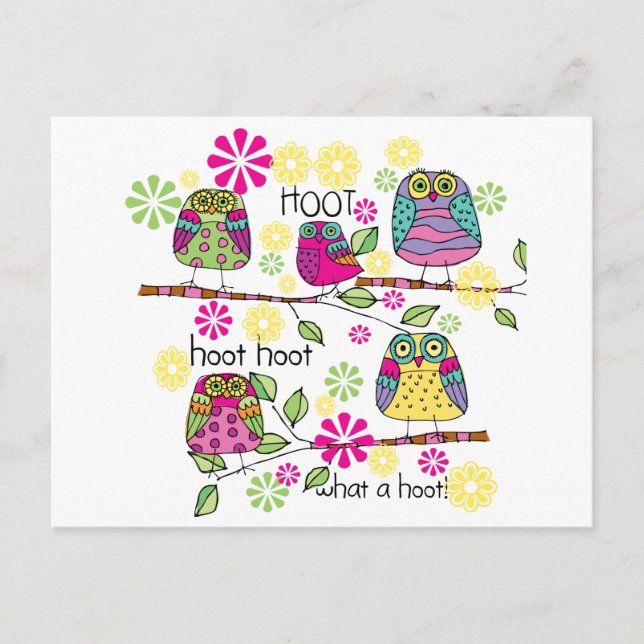 Hootie Owls Postcard (Front)