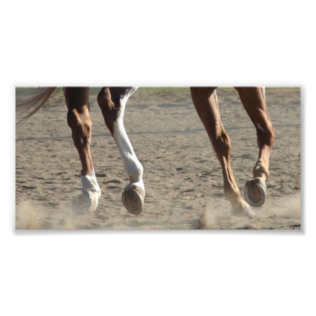 Hooves in Motion Photo Print (Front)