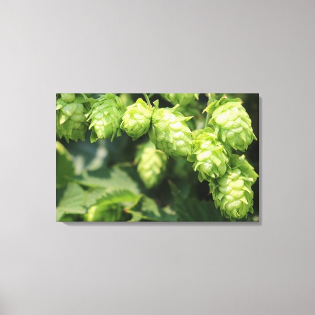 Hop Art: Wild hops for the beer lover's home Canvas Print (Front)