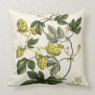 Hop Vine, from 'The Young Landsman', published Vie Cushion