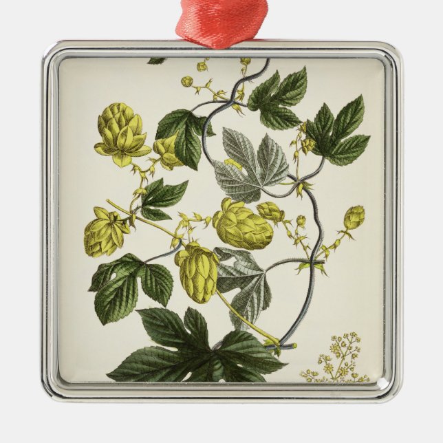 Hop Vine, from 'The Young Landsman', published Vie Metal Tree Decoration (Front)