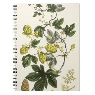 Hop Vine, from 'The Young Landsman', published Vie Spiral Notebook